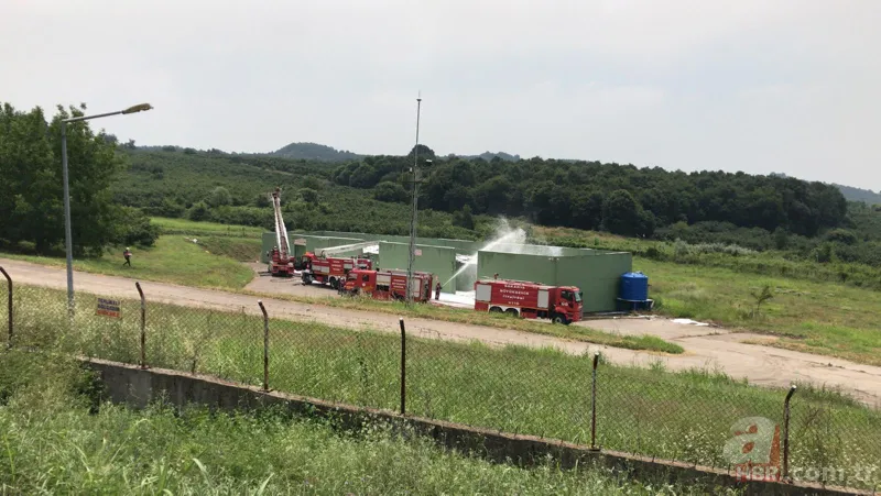 Son dakika: Sakarya Hendek'te havai fişek fabrikasında patlama! A Haber ekipleri patlama bölgesinde! İşte ilk görüntüler 16