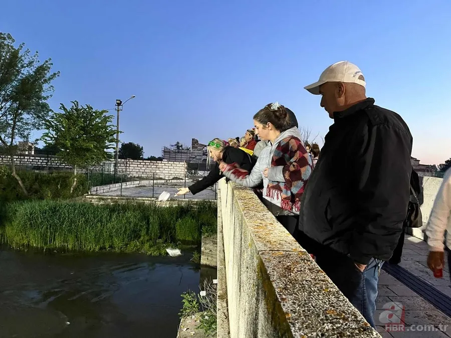 Hıdırellez ne zaman, hangi tarihte kutlanıyor? Hıdırellez Bayramı Gül Ağacı Ritüeli nedir? 6