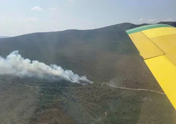 İzmir'de orman yangını! Havadan ve karadan müdahale