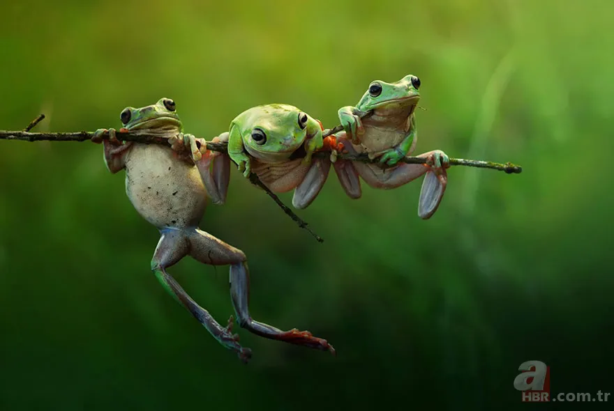 Erzurum'da görenleri şaşırtan anlar! Hemen telefona sarıldılar 8