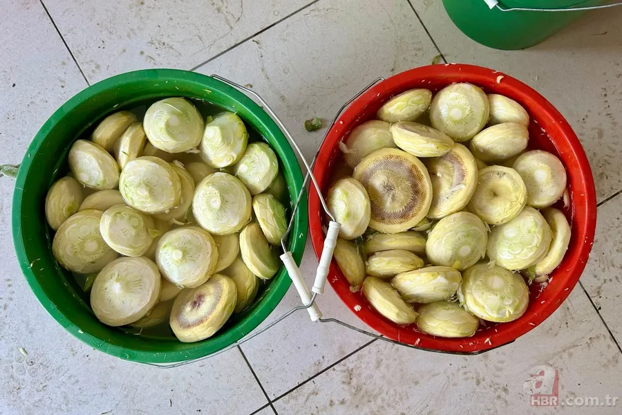 Resmen altın değerinde: Fiyatını duyan tarlasına koşuyor! Soğan salatalığı bırakıp bunu ekiyor 3