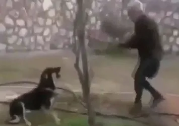 Ağaca bağladığı köpeği döverek öldürdü! Bunun adı vahşet