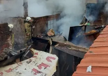 İzmir'de korkutan yangın! Çok sayıda kuş telef oldu