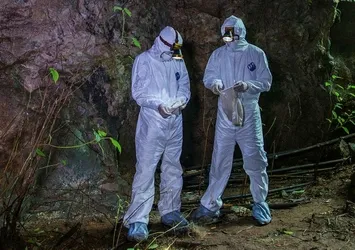 Son dakika: Yarasalarda yeni bir virüs bulundu! Önce felç ediyor sonra öldürüyor