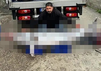 Balıkçının ağına takıldı! 30 bin TL’ye sattı