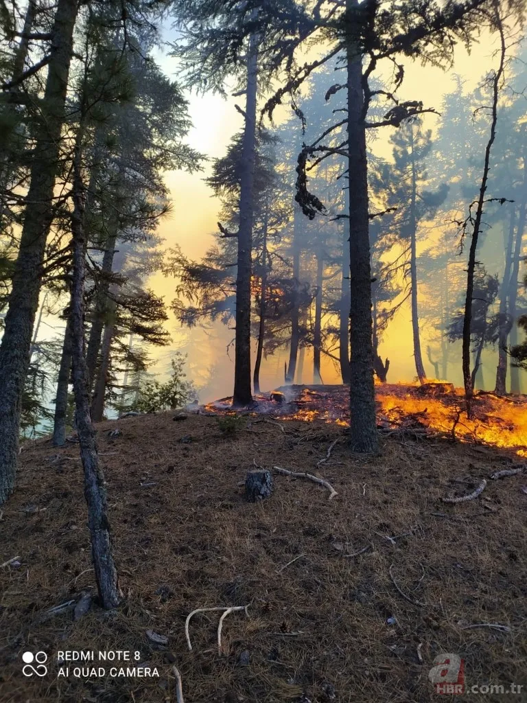 Adana’da çıkan orman yangını kontrol altına alındı 6
