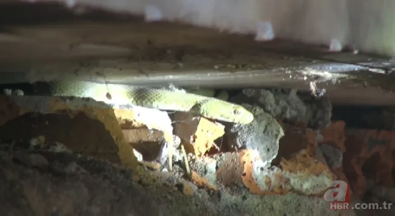 Satılık otomobilden çıkan şoke etti! 18