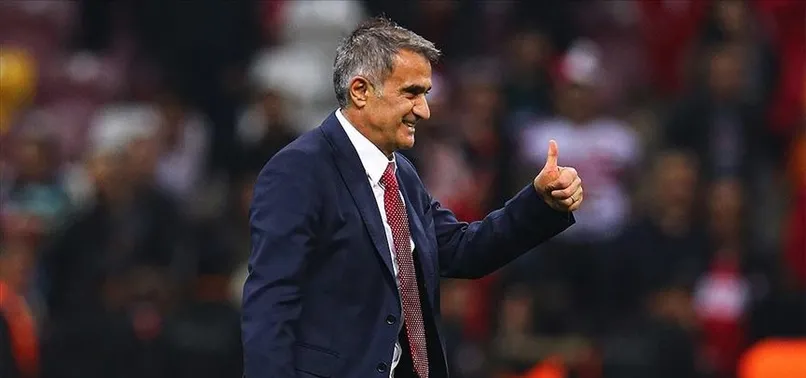 Milli Takım'dan ayrılan Şenol Güneş'e Süper Lig ekibi Başakşehir'den teklif