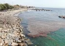 Caddebostan’da deniz 2 metre çekildi! Yer yer kirlilik görüldü