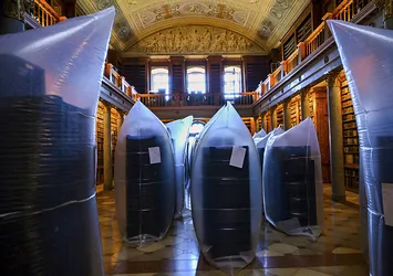 Asırlık kütüphaneye böcek istilası!