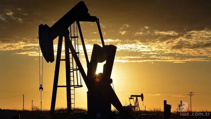 Petrol krizine ‘elektrikli’ kalkan: Yeni ulaşım alternatifleri öne çıkıyor 2