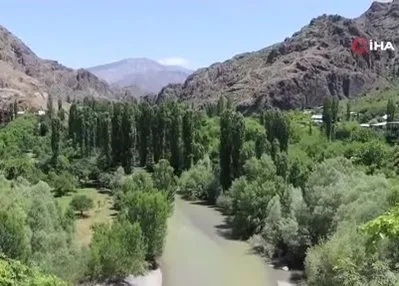 Pekmez ocakları bu kez pestil için yandı