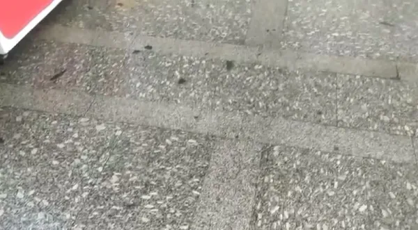 Mansur Yavaş’ın iki ay önce ’yeniledik’ dediği AŞTİ’yi su bastı