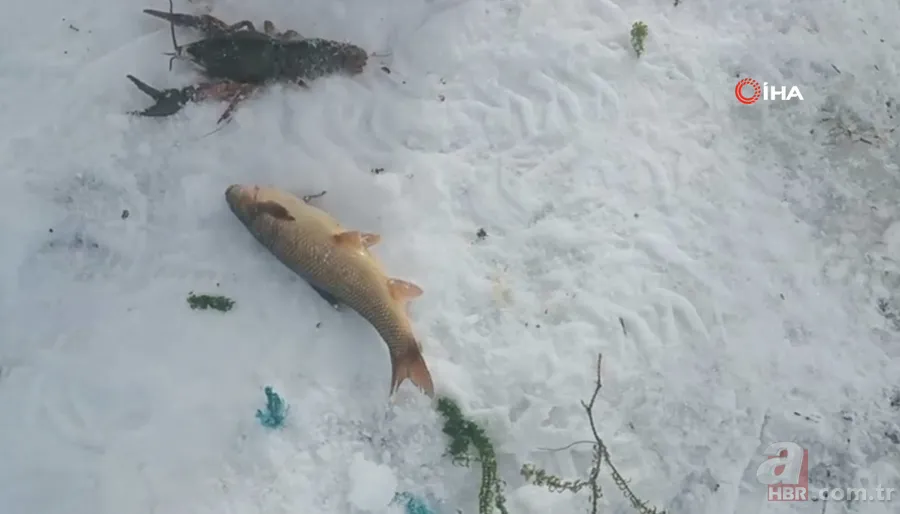 Görüntüler Türkiye’den! Kazma küreği aldılar balıkları kaptılar | İşte Eskimo usulü balık avı 12