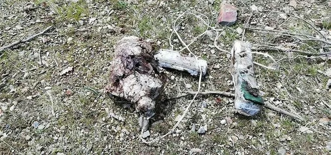 Son dakika: Bitlis’te toprağa gömülü 20 kilo EYP ele geçirildi