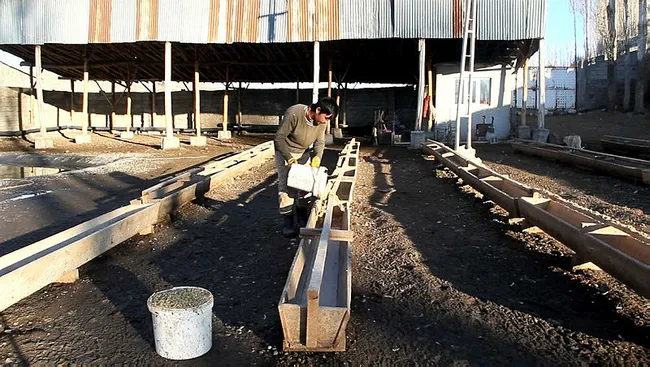Vanlı siyasal mezunu Cihat Çiftçi kaz yetiştiricisi oldu! Yurt içi ve yurt dışına civciv göndermeye başladı - 8