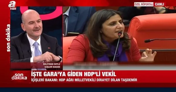 Bakan Soylu Gara'ya giden HDP'liyi açıkladı evlat nöbetindeki ailelerden Taşdemir'e tepki geldi - 2