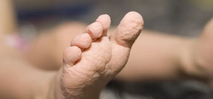 Vücudumuzun sırları ortaya çıktı! İşte gün içinde yaptıklarımızın sebepleri