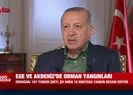 Başkan Erdoğan: 8 gün içinde 187 yangın çıktı - Video
