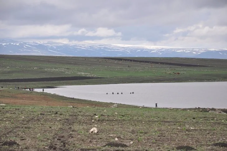 Kars’ta kırsalda kaybolan Tarık Altun’dan sevindiren haber! Bakın nerede bulundu
