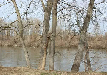Edirne'de 3 göçmenin cesedi bulundu