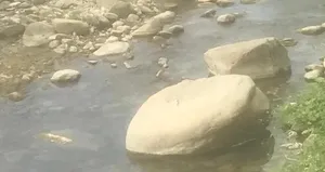 40 santimetrelik suda boğuldu