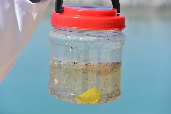 Karadeniz'de yeni tehlike: Mikroplastik! 7 milyona kadar çıktı - 3