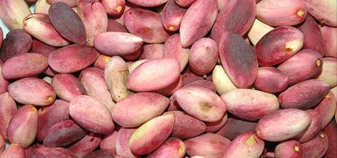 Günde 1 avuç antep fıstığı yemek bakın ne işe yarıyor...