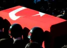 Bakanlık açıkladı! Acı haber