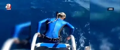 Denize girerken dehşeti yaşadı! Kaplan köpek balığı ile burun buruna gelip...