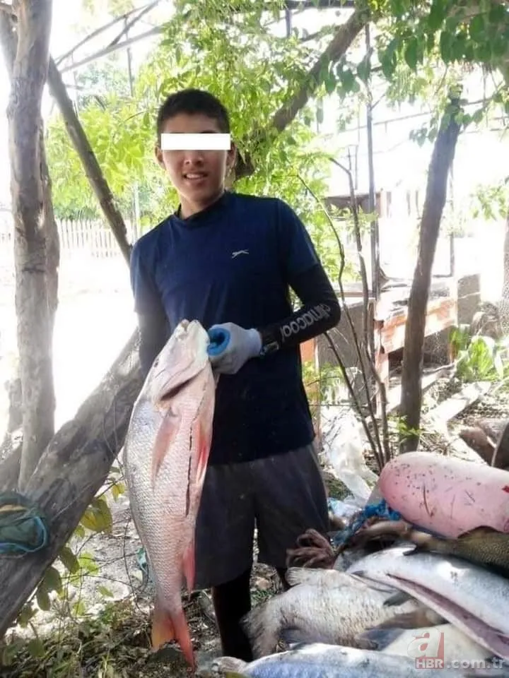 Köpek balığı saldırısından bakın nasıl kurtuldu! Sosyal medya 14 yaşındaki bu çocuğu konuşuyor