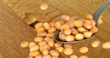 Ömrü 10 yıl uzatıyor! En güçlü D vitamini kaynağı! Duyunca şaşıracaksınız...