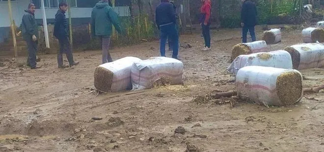 Van’da sağanak sele neden oldu