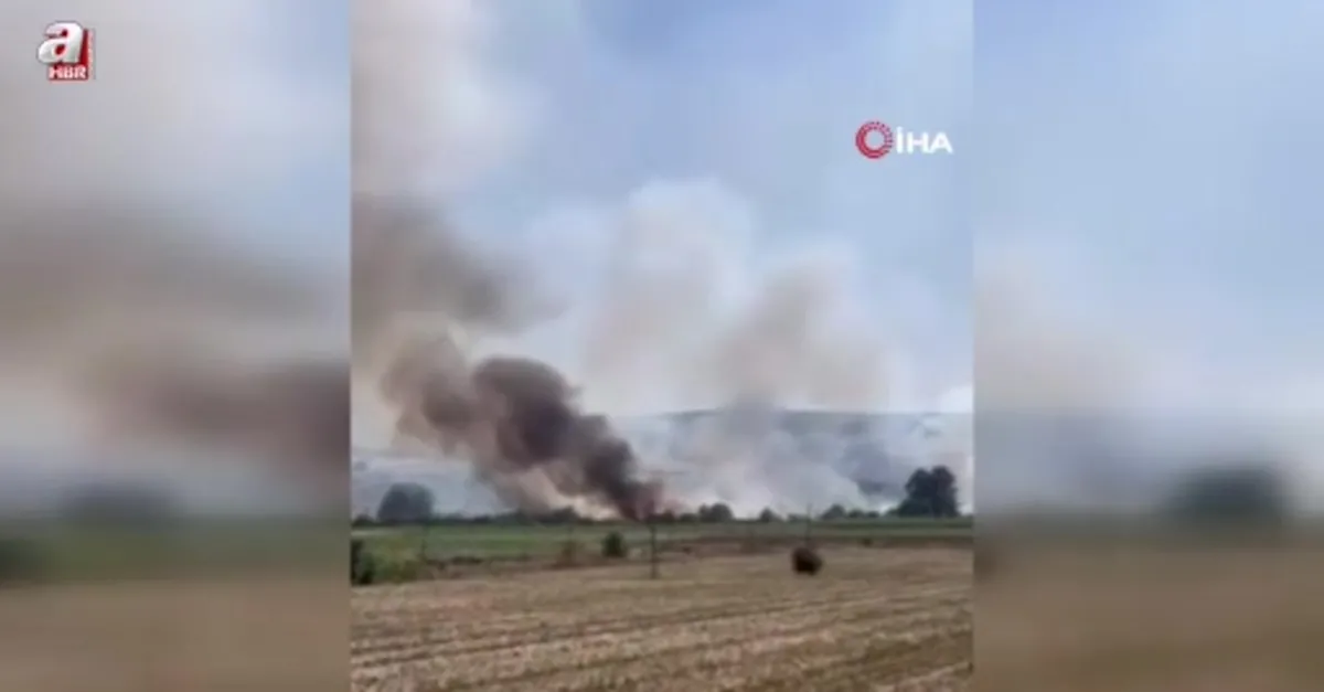 Yenişehir kırsalında yangın paniği