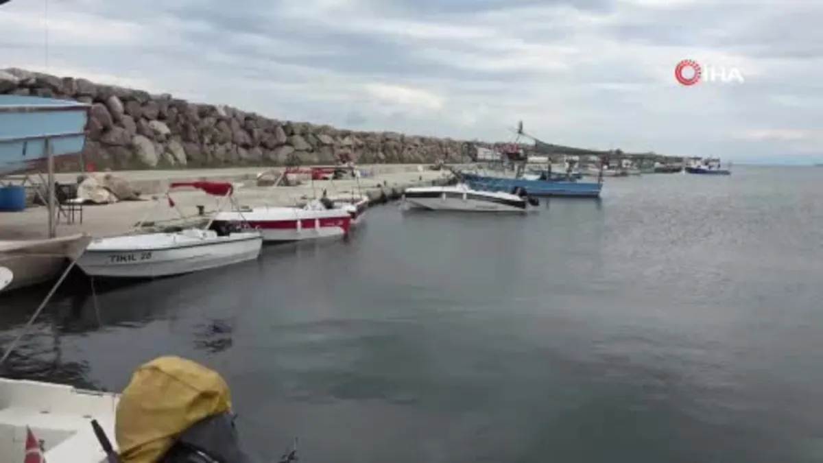 Balıkçılar bu sezon palamuttan umutlu