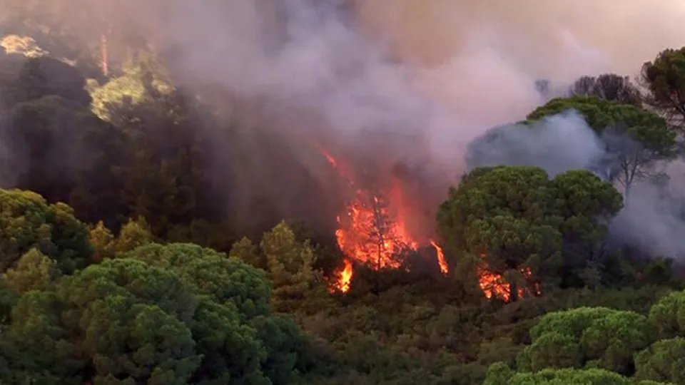 Orman yangınlarının nedeni sabotaj mı?