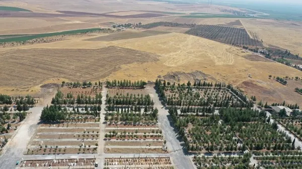 Son dakika: Mezar taşlarına bunları işliyorlar! Müftülük uyardı: Caiz değil - 3