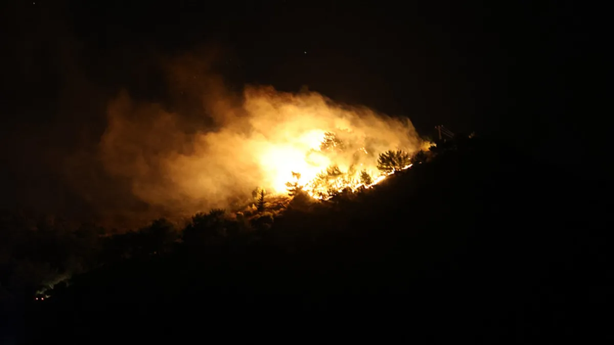 Hatay'da ormanlık alanda çıkan yangın söndürüldü