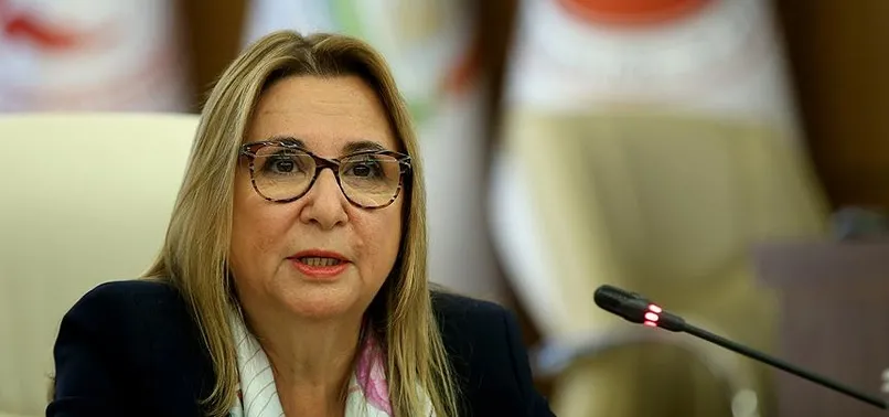 Son dakika: Ticaret Bakanı Ruhsar Pekcan: Yürürlüğe girdi ve Türkiye'nin önü açıldı