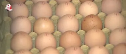 Yumurtaların üzerindeki kod ne anlama geliyor? Yumurtanızın kodu ne? Eğer 3 ile başlıyorsa...
