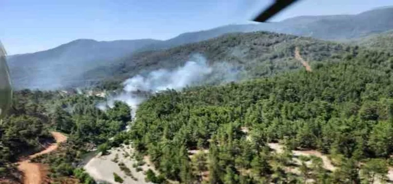 Köyceğiz'de orman yangını! Havadan ve karadan müdahale başladı