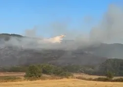 Balıkesir'de orman yangını!