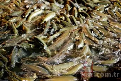 İşte Anadolu Efsaneleri 1