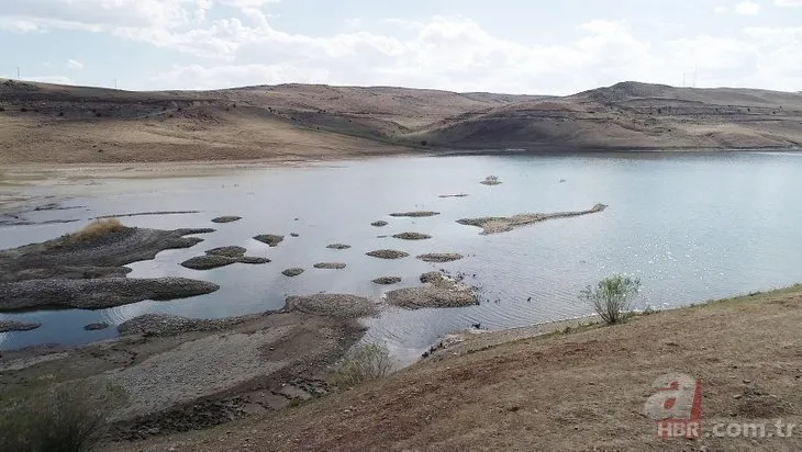 Palandöken Barajı’nın suları çekildi: Kemikler kıyıya vurdu