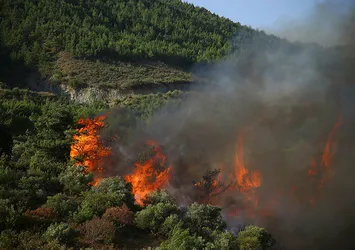 Hatay'da 2 şüpheli gözaltına alındı