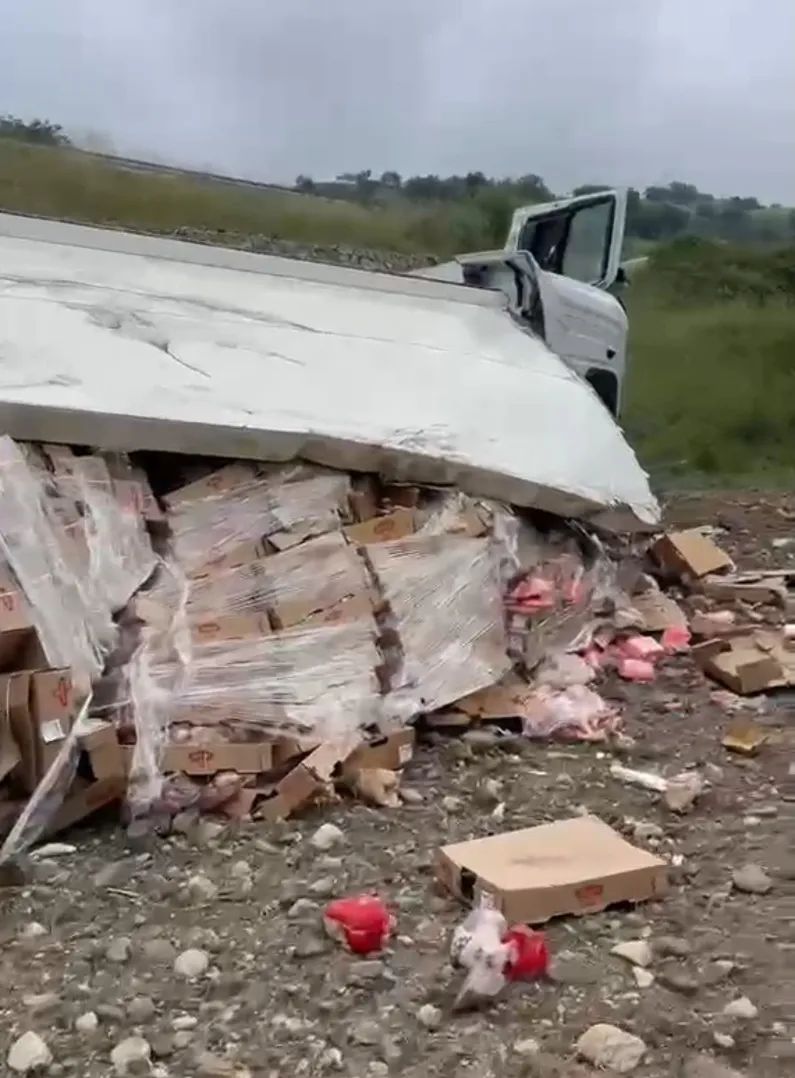Amasya'da tavuk eti yüklü TIR şarampole devrildi - 3
