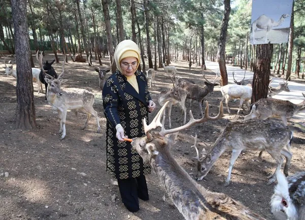 Emine Erdoğan’dan Hayvan Hakları Günü mesajı - 2