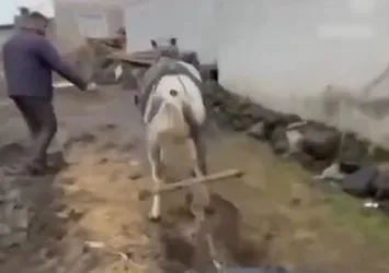 Ata eziyet eden kişilere ceza yağdı