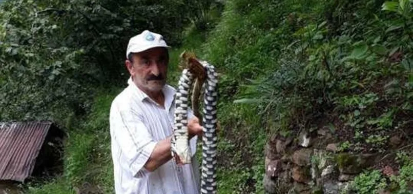 bahcesinde gordugu 2 metrelik endemik