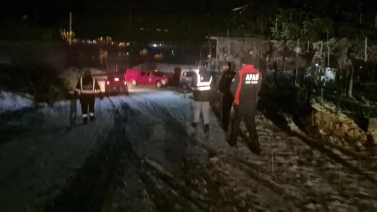 Kiralık ev ararken ormanda mahsur kaldılar!